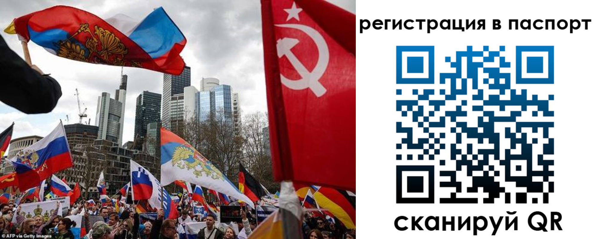 временная регистрация поиск в Елизово