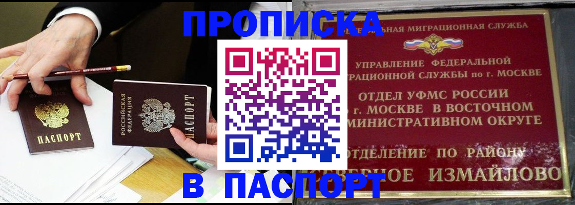 прописка 2025 в Елизово
